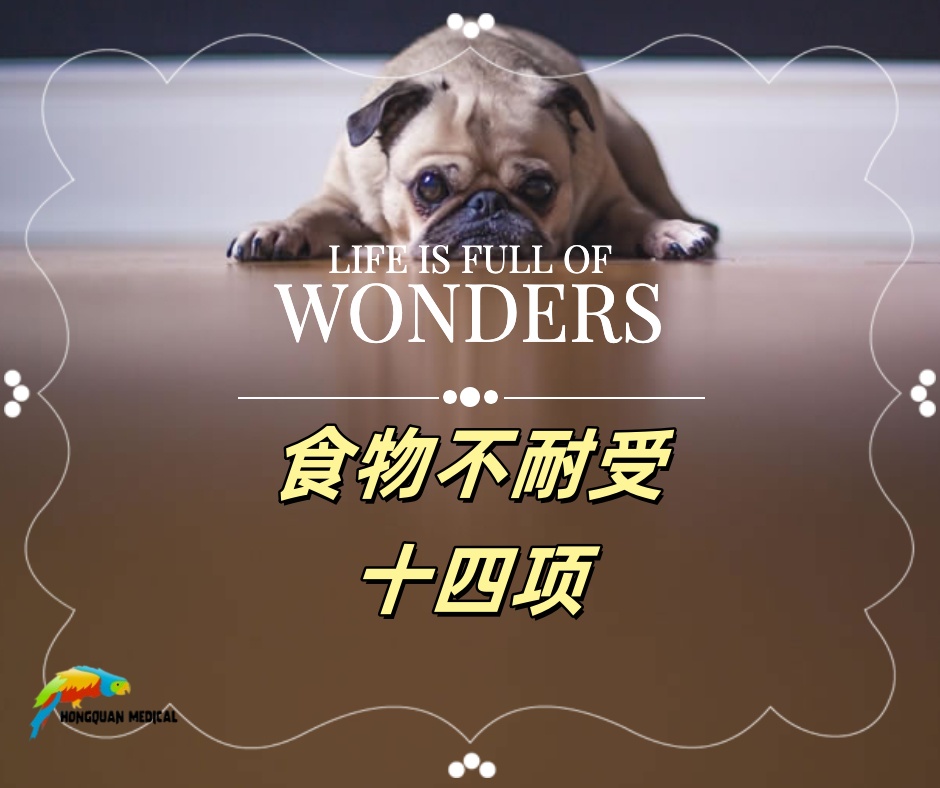 食物不耐受14项检测